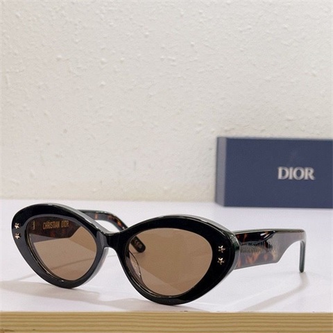 dior sunglass-110